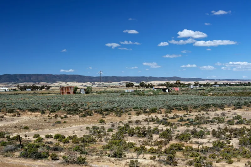 Red Dirt Roots: How Australia's Gaming DNA Built the Online Casino You Love Today